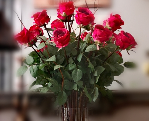 Long stemmed red rosesLong stemmed red roses