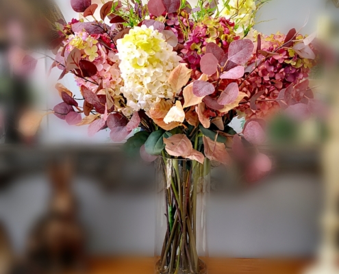 Hydrangea Paniculata