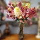 Hydrangea Paniculata