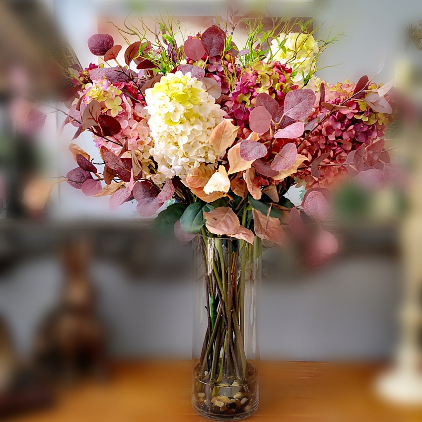 Hydrangea Paniculata