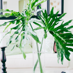Leaves in a vase photo